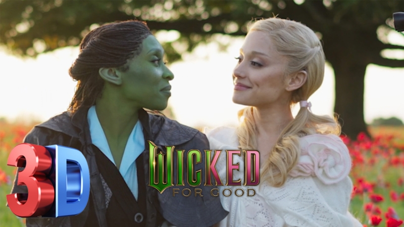 WICKED FOR GOOD 3D